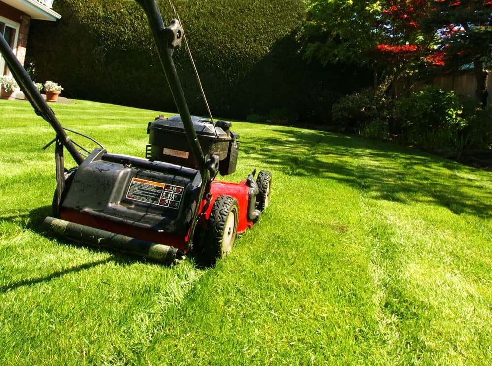 Repuestos para vehículos y productos de jardinería en Melide